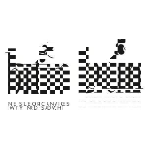 Bitin Logo (3)